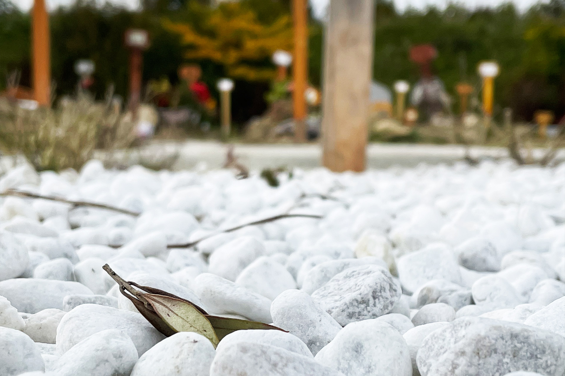 Inhumation dans un cimetière musulman